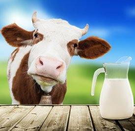 Как отличить настоящее молоко от подделки?